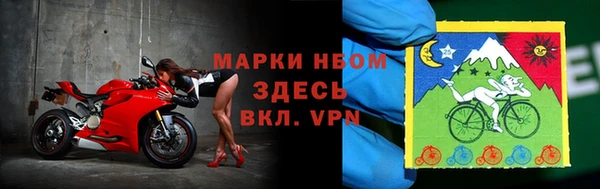 прущие грибы Зерноград