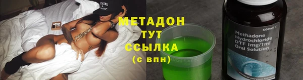 прущие грибы Зерноград