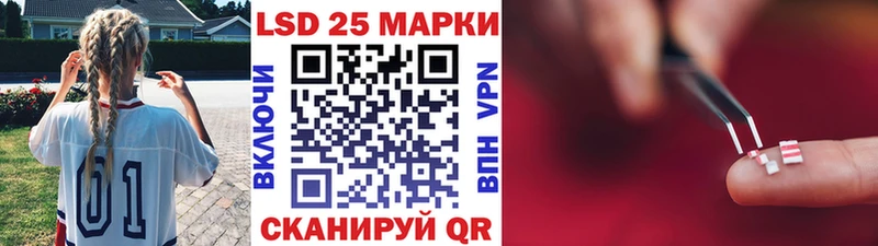 Купить где  Губкинский  Марки N-bome 1,8мг 