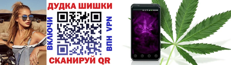 Купить  Губкинский  Шишки марихуана VHQ 